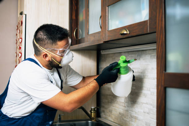Best Local Pest Control Services  in Fairburn, GA