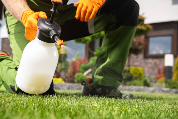 Trusted Fairburn, GA Pest Control Experts