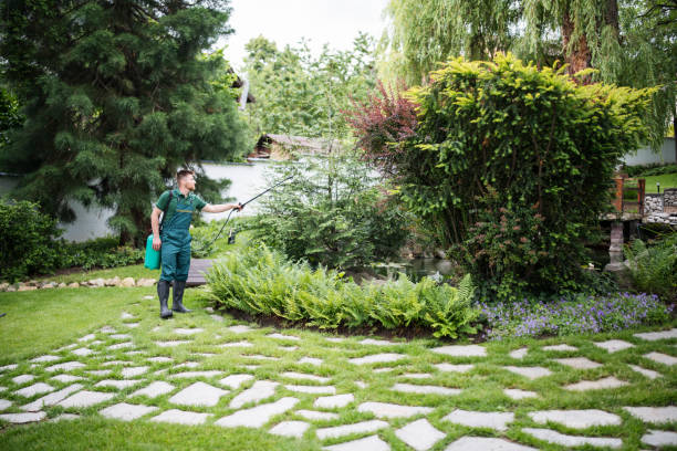Best Commercial Pest Control Services  in Fairburn, GA