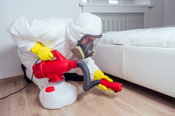 Best Mosquito Control Services  in Fairburn, GA