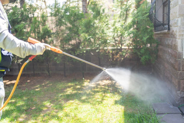 Best Wasp Removal Services  in Fairburn, GA