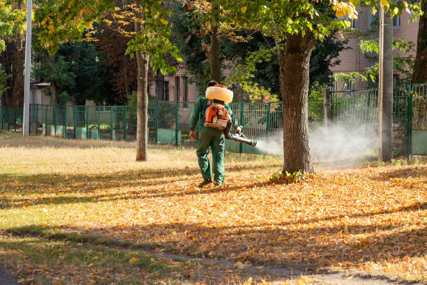 Wildlife Control Services in Fairburn, GA