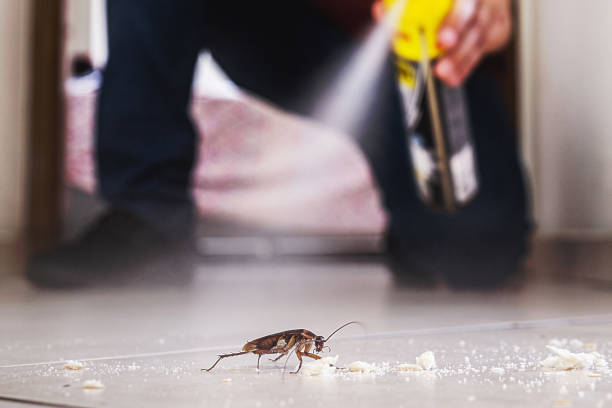 Best Termite Control Services  in Fairburn, GA