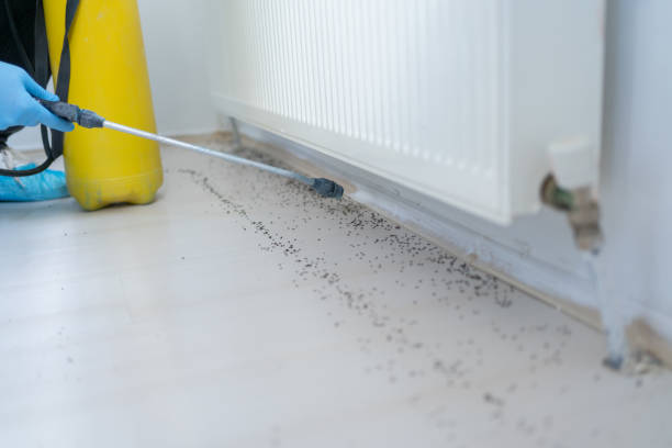 Best Pest Prevention Services  in Fairburn, GA
