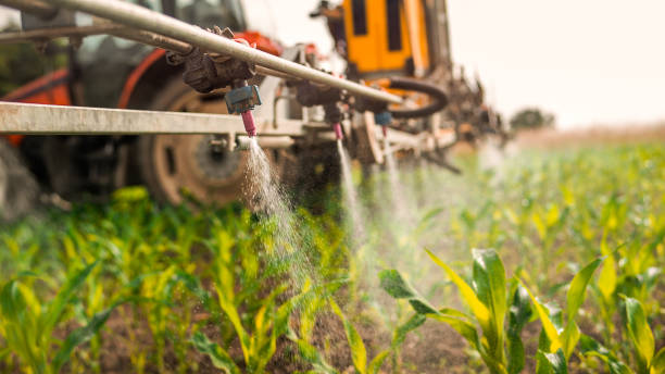 Best Pest Control for Businesses  in Fairburn, GA